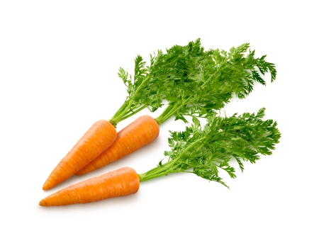 Carrot